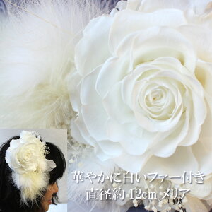  iꕔnjwbh y؂₩ɔt@[ta12cmÃwbhhXiA12cmjzyvU[uht[z@uC_yyMt_bZ