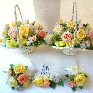 iꕔnjyԃJS2EXgu[PEu[gjAEwbhhXz5_Zbg@@vU[uhEwbhhX uC_u[P Ehu[P