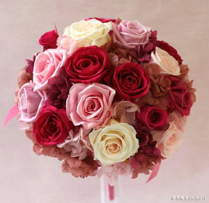 iꕔnjyv[gtz I[_[ChyEhu[P@a18cmu[gjAzZbgvU[uht[ uC_u[P EGfBO@u[Py