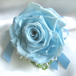 vU[uht[RT[WyART[WzP[X uC_ u[gjA p[eB[    q Ǝ RT[W w tH[}  vU[uht