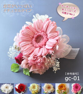 K[x̃vU[uht[RT[W P[X Ǝ RT[W w uC_ u[gjA p[eB[    q tH[} ugjA  vU[uht