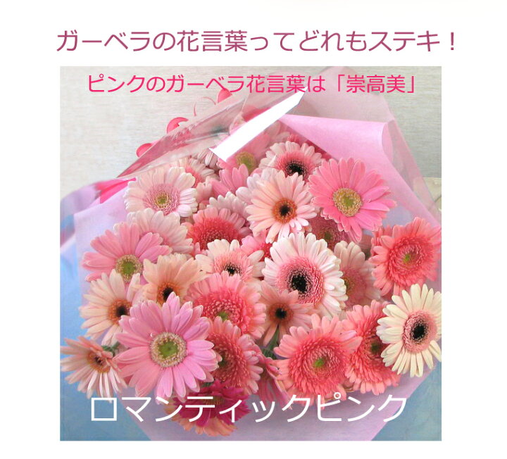 楽天市場 送料無料 一部地域を除く 生花 産地直送 カラーが選べる ガーベラ 30本 花束 ピンク レッド イエロー オレンジ ミックス 誕生日プレゼント 女性 成人式 お祝い あれんじhana倶楽部 楽天市場 送料無料 一部地域を除く 生花 産地直送 カラーが選べる ガーベラ 30本 花束 ピンク レッド イエロー オレンジ ミックス 誕生日プレゼント 女性 成人式 お祝い あれんじhana倶楽部
