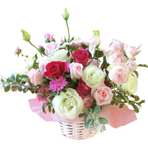 yԁzRose basket S`LTCY t[AWg  ~  ݁y Mtg aza nEB NX}X vw̓ LO l j o [Y A
