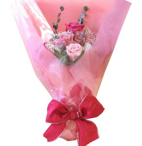  iꕔnju[gjAv[gIuC_EeԁvU[uht[Piy[Y8փ^CvzyyMt_bŹzyHLS_DUzp[eB[E