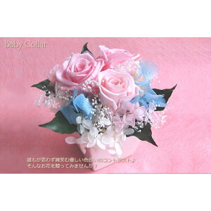 y{`̓o++O[zDɕύX I[_[ChvU[uht[AWg30 a  yo KN [Yz hV̓ ފ ~