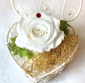 yiꕔnjvU[uht[zDȐFŁIΔa/ j  o^C Mtg v[g t zCgf[