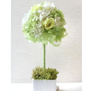 iꕔn)yvU[uht[zAWg[YgsA[ rO  j ̓  Mtg v[g ͂Ȃ a