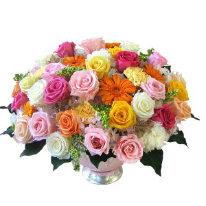 iꕔnj yI[_[ChvU[uht[AWg350z  Mtg a ̓@Mtg@ yMt_bZ