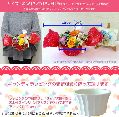 楽天市場 あす楽対応 14時まで 送料無料 一部地域を除く 生花 花 Popキャンディ プチメッセージ付き 送料無料 誕生日 女性 プレゼント 花 バラ お盆 お彼岸 敬老の日 花 お供え ギフト ハロウィン 七五三 いい夫婦の日 11月22日 12 28 1 7はお届け出来