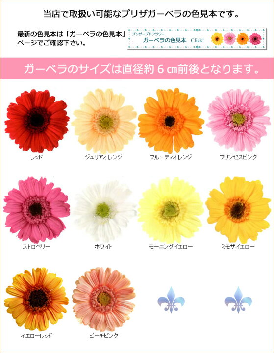 楽天市場】送料無料（一部地域を除く）【花材を1パーツサービス中 