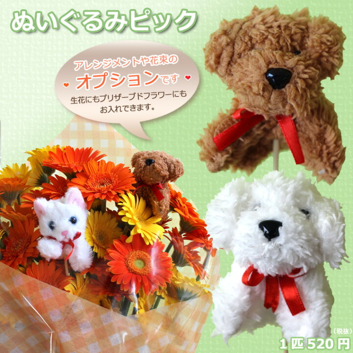 楽天市場 生花やプリザーブドフラワーのアレンジメントや花束にオプション用 ぬいぐるみピック 犬 猫 花 ギフト 誕生日 可愛いキャラクター 楽ギフ メッセ入力 敬老の日 ギフト あれんじｈａｎａ倶楽部
