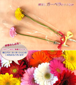 楽天市場 卒業式 花束の通販
