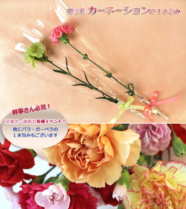楽天市場 贈呈花 カーネーション 1輪 卒業式 各種イベントに 1本275円 10本以上でご注文下さい 1本 ブーケ カーネーション 花束 パーティー 卒業式 謝恩会 結婚式 結婚 9 16 9 はお届け出来ません あれんじｈａｎａ倶楽部