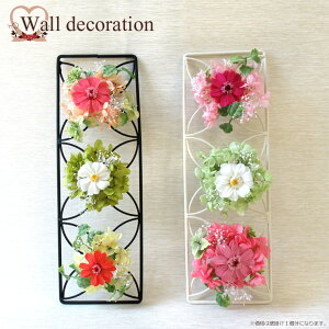  iꕔnjy vU[uht[ z EH[fR[V o Ǌ|@EH[fR@@ACA Mtg av[g 