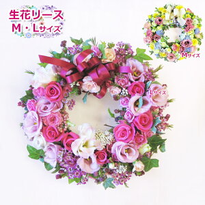  iꕔnj[X jy  z[XMTCYELTCY aɂj  Mtg a Mtg@v[g@AWg@LO@