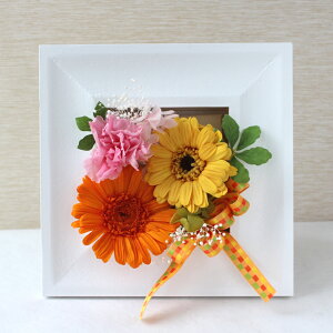 iꕔnjyvU[uht[zyK[x̔pbgzy̓@Mtg@@ԁz