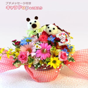 ŒZ zB 14܂ y  zyLPop 2Czyԍނ܂łz Aj}  AW av[g  a t[AWg  hV̓  Mtg n