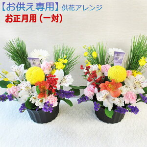 ŒZ zB 14܂ p y  zԃAWPi STCYEMTCYE1(2)STCYEMTCY t[AWg Ĥފ ފ  ~@ @  yb