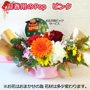 ŒZ zB 14܂ y  zPopLfB(v`bZ[Wt) ԑ  a t[AWg   Mtg v[g    Ε  o KN [