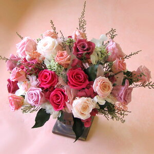 iꕔnj yI[_[ChvU[uht[AWg30000zsN(QlFOʃ^CvjցErOS[WXɁ ̓@Mtg@ yMt_bZ