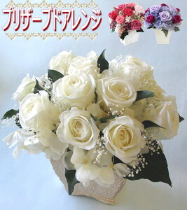 iꕔnjvU[uht[yvU[uhAWz  Mtg a ̓@Mtg@ yMt_bZ u[ j hV̓ ފ ~