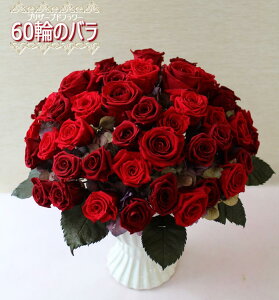 iꕔnj I[_[ChyvU[uht[60ւ̃ozbhiQlF360x^Cv)60 җ 60N _Ch o 60{ o KN [Y ̓  Mtg