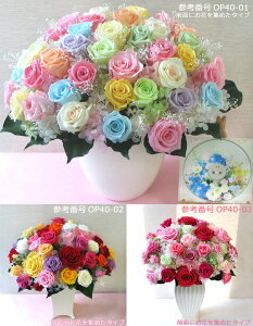 iꕔnjyI[_[ChvU[uht[AWg400z  Mtg a ̓@Mtg  hV̓ ފ ~@LO