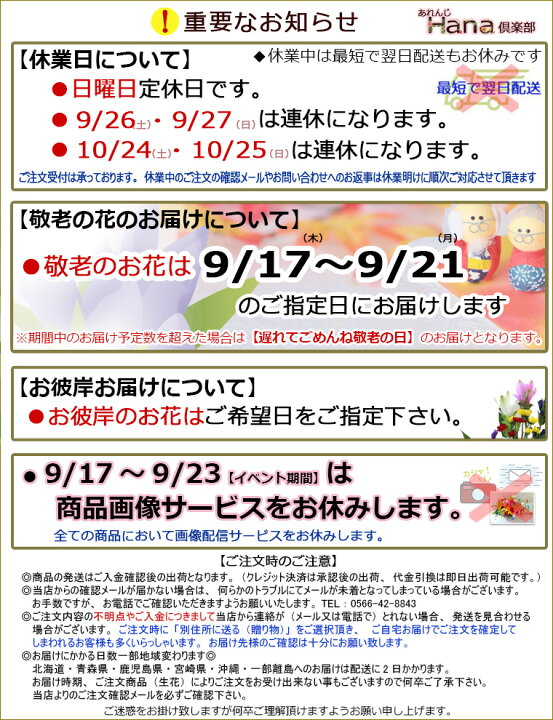 楽天市場】【 生花 】 レースのPopキャンディ（プチメッセージ付き 