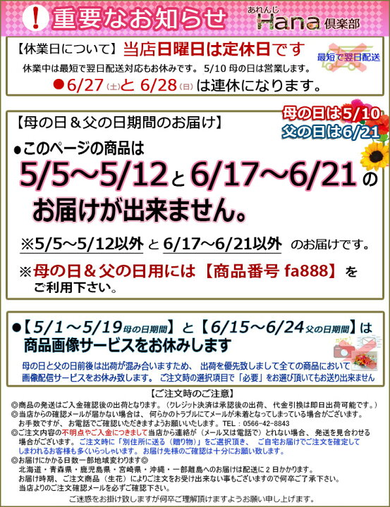 楽天市場】【 生花 】Popキャンディ(プチメッセージ付き) 花束 贈答 