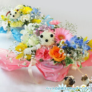 zB]i14܂ł̂j yԁzybĝpPopLfB t[AWg  ~   ybg  L Mtg ފ t[ AWg 