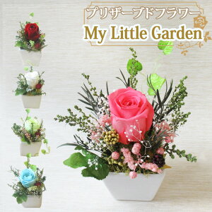 yvU[uhzvU[uhAW fXNt[yMy Little Gardenz a j LO  j a  ~  Mtg v[g t