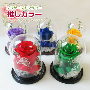 vU[uht[AWyJ[h[AWzt[ o[J[ AhC Aj a fr[ a N 񎟌 TvCY vZX a v[