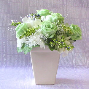  iꕔnjaɂjɌ͂ȂԃvU[uht[AWgyVgXO[zrOELb`u₩Ɂ􁖁yyMt_bŹzyHLS_D