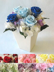  iꕔnjyvU[uht[zJ[őIׂ vU[uht[AWg5000 a j  [AWg  ̓  Mtg 