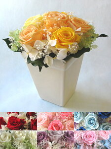 y vU[uht[ z J[őIׂ vU[uht[AWg6000 a j  t[AWg  ̓  Mtg v[g  (