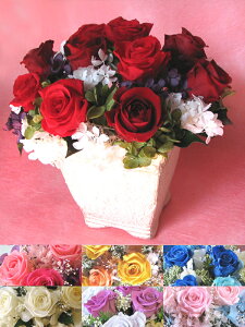  (ꕔn)y vU[uht[ zJ[őIׂ vU[uht[AWg10000 a j  t[AWg   ̓ ̓