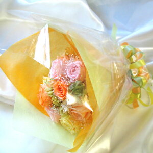 vU[uht[ u[P ԑ  a  yvUdeu[Pz cheri VF[yyMt_bŹzyHLS_DUzaɂj iꕔnj