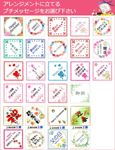 【生花】【バラ風呂】☆ローズインにゅーよーくミックス★プチ★ローズバスフラワーシャワー・花ギフト誕生日誕生日プレゼント女性バラ薔薇ローズ