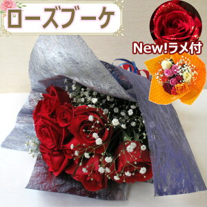 yԁzy[Yu[Pz10{E15{̃oJX~\E ԑ  a  Mtg v[g ~bNX  o KN [Y j nEB NX}X vw̓ (ꕔn