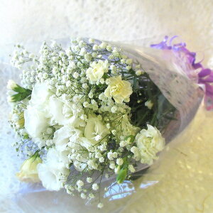 ŒZ zB 14܂ y p z  Xɂ܂ ԑ MTCY(zCgn)  ~   Mtg @  ފ     l\ @v ybg 