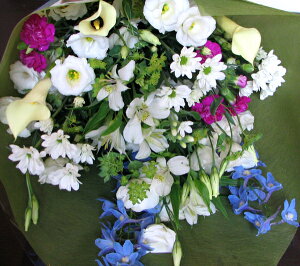 ŒZ zB 14܂ (ꕔn)y p z  Xɂ܂ ԑ LTCY(zCgn)     Mtg @ hV̓ ފ ~    