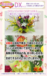 ŒZ zB 14܂ y  za AW G߂̂ԁy a zSTCY`DXTCY ԍނ͂܂ t[AWg   a v[g  N ފ 