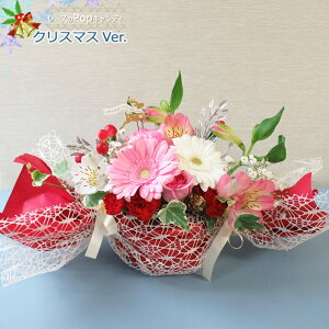 ŒZ zB 14܂Ły  z [XPopLfBiv`bZ[Wtjy  z  o KN [Y j a t[AWg  NX}X  Mtg v