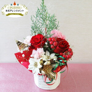 �������� (�ꕔ�n�������)�y ���� �z �N���X�}�X���� �A�����W �o�� �K�[�x�� �e�[�u���t�����[ �M�t�g �a�����v���[���g ���� �t�����[�A�����W�����g �M�t�g �a���� �� �N���X�}�X