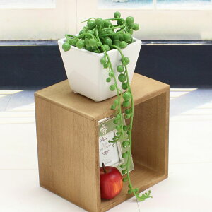 O[lbNXlHϗtA tFCNO[LR G} eN ICeAO[ JXj JƏj