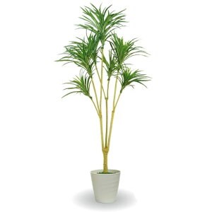 hZi RVl v tFCNO[svŏL R eN R[eBO165cm×55cm×s55cm