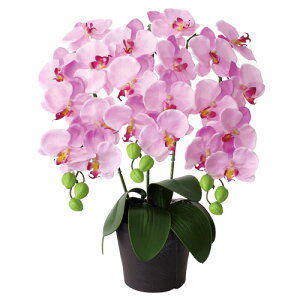 フラワーアレンジ 胡蝶蘭 3本立 国産 美濃焼 ファレノプシス 造花 フラワーアレンジメント 花 プレゼント おしゃれ お祝い 誕生日 お誕生日 お花 ギフト 還暦 古希 喜寿 結婚祝い 開店祝い お