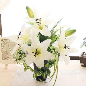 GKgȃC[WŐ ܂ t[AW A[gt[  LRۉH 40cm