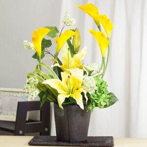 t[AW JTuJ KN J[ nChW[  t[AWg  v[g  j a a  Mtg җ Ê  j JXj