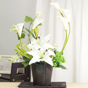 t[AW JTuJ KN J[ nChW[  t[AWg  v[g  j a a  Mtg җ Ê  j JXj